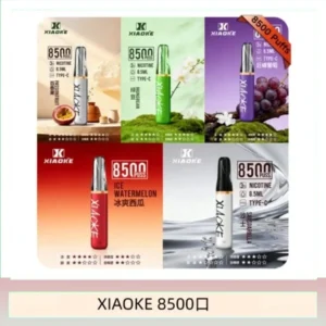 梟客XIAOKE一次性電子菸拋棄式8500口
